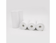 Easypix Thermal Printing Paper Rolls white for InstantFUN 5pcs 55600