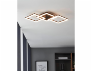 Stropní LED světlo Eglo Paranday-Z 65 cm bílé černé