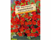 Sperli Nasturtium "Oriental Magic"