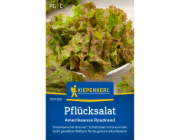 Kiepenkerl řezaný salát „Americký Roodrand“
