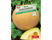 Sperli Cantaloupe F1 typ Galia "Masada" 5 - 7 kusů