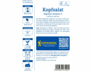Semínka salátu Kiepenkerl Kagraner Summer 2