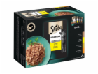 Sheba mokré krmivo pro kočky Delicacy Poultry Variety 12 ...