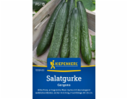 Salátová okurka se semínky Kiepenkerl Gergana