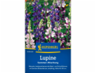 Kiepenkerl Lupinus polyphyllus