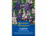 Kiepenkerl Lupinus polyphyllus