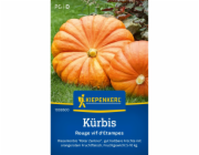 Dýně Kiepenkerl "Rouge vif d Etampes"
