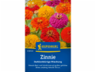 Kiepenkerl Zinnia "Směs květů jiřin" Zinnia elegans