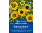 Kiepenkerl Slunečnicový majestátní mix