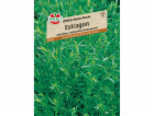 Sperli Estragon "Sperliho malý drak"