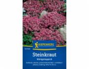 Kiepenkerl Alyssum "Královský koberec"