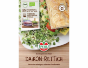 Semena organických klíčků Sperli „Daikon ředkev“ (Raphanus sativus)