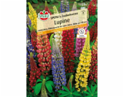 Sperli Lupin "Sperliho kouzelné svíčky" vícebarevné