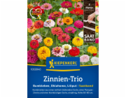 Kiepenkerl Zinnias "Oklahoma Formula Mix" Zinnia