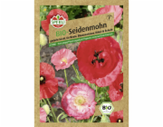 Sperli Hedvábný mák Červený papaver