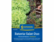 Kiepenkerl Batavia salátové duo „Florine & Rossia“