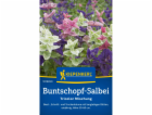 Kiepenkerl Šalvěj pestrá "Tricolor Mix" Salvia