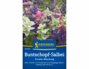 Kiepenkerl Šalvěj pestrá "Tricolor Mix" Salvia
