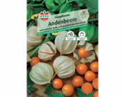Sperli andské bobule "Inca švestka" (Physalis peruviana)