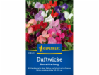 Kiepenkerl Sweet Peas "Barevná směs" Lathyrus odoratus