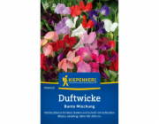 Kiepenkerl Sweet Peas "Barevná směs" Lathyrus odoratus