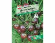 Rajče Sperli "Blacky Cherry"