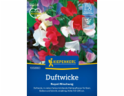 Kiepenkerl Sweet Pea "Royal Mix" Lathyrus odoratus