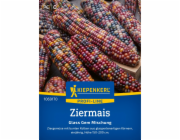Kiepenkerl Okrasná kukuřice "Glass Gem Mix" Zea mays