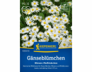 Kiepenkerlova sedmikráska "Luční sedmikráska" Bellis perennis