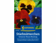 Kiepenkerlova maceška "Swiss Giant" Viola x wittrockiana