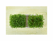 Pěstební miska Sperli Green Sprout Duo