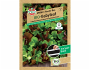 Sperli Organic Baby Leaf Salad Mix Seed Tape