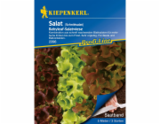 Kiepenkerl hlávkový salát „Babyleaf salad meadow“