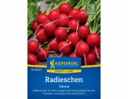Kiepenkerl ředkvičky "Vienna" F1 hybrid (Raphanus sativus var. sativus)