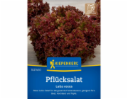 Kiepenkerl sypaný salát "Lollo Rossa"