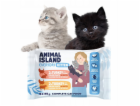 ANIMAL ISLAND Everyday Kitten Turkey with rabbit, Turkey ...