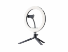 DOMOLETTI Lampa Lana HT01R, 4,1 W CCT 3000-6500K