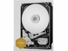 BAZAR WD GOLD RAID WD2005FBYZ 2TB SATA/ 6Gb/s 128MB cache