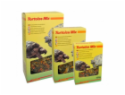 Lucky Reptile Tortoise Mix