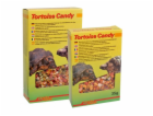 Lucky Reptile Tortoise Candy