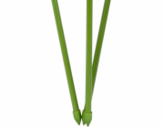 Držák FH-375, 75 cm, stojan na květiny