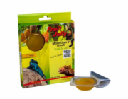 Lucky Reptile Fruit Jelly