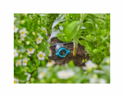 Gardena Micro-Drip System Set Balkon (15 rostlin)