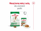ROYAL CANIN Mini Adult +8 - suché krmivo pro psy - 2 kg