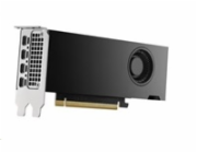 DELL NVIDIA RTX 2000 Ada Generation 16 GB GDDR6 half height PCIe 4.0 x 8 4 mDP Graphics Card