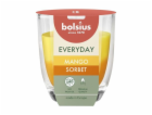 Svicka Bolsius Everyday, mangovy sorbet, 80x70 mm, ve skle