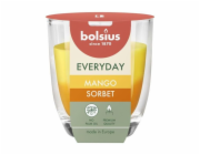 Svicka Bolsius Everyday, mangovy sorbet, 80x70 mm, ve skle