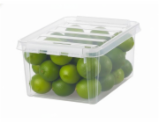 SMARTSTORE Úložný box Classic 8l