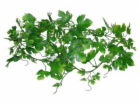 Lucky Reptile Jungle Vine Gape Leaf Vine cca 200 cm