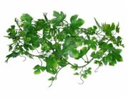 Lucky Reptile Jungle Vine Gape Leaf Vine cca 200 cm